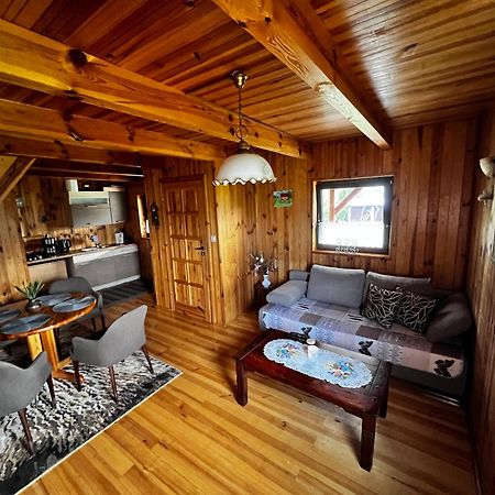 Domek U Karkonosza Villa Kamienna Gora Eksteriør bilde