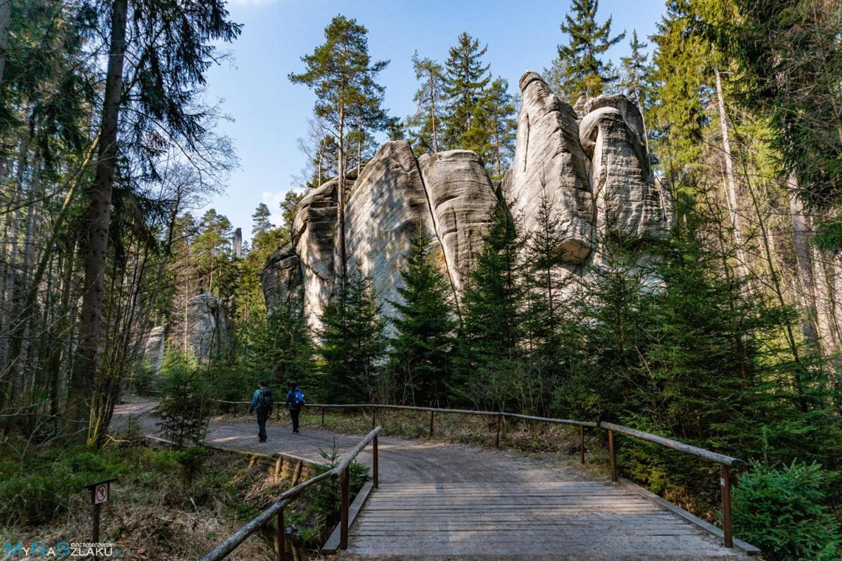 Domek U Karkonosza Villa Kamienna Gora Eksteriør bilde