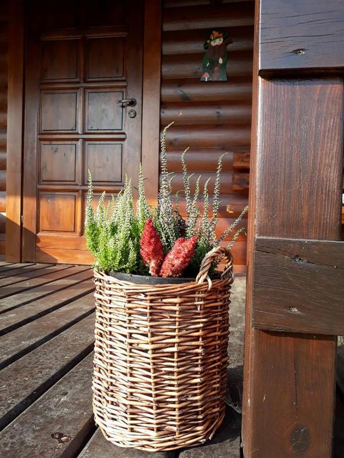 Domek U Karkonosza Villa Kamienna Gora Eksteriør bilde