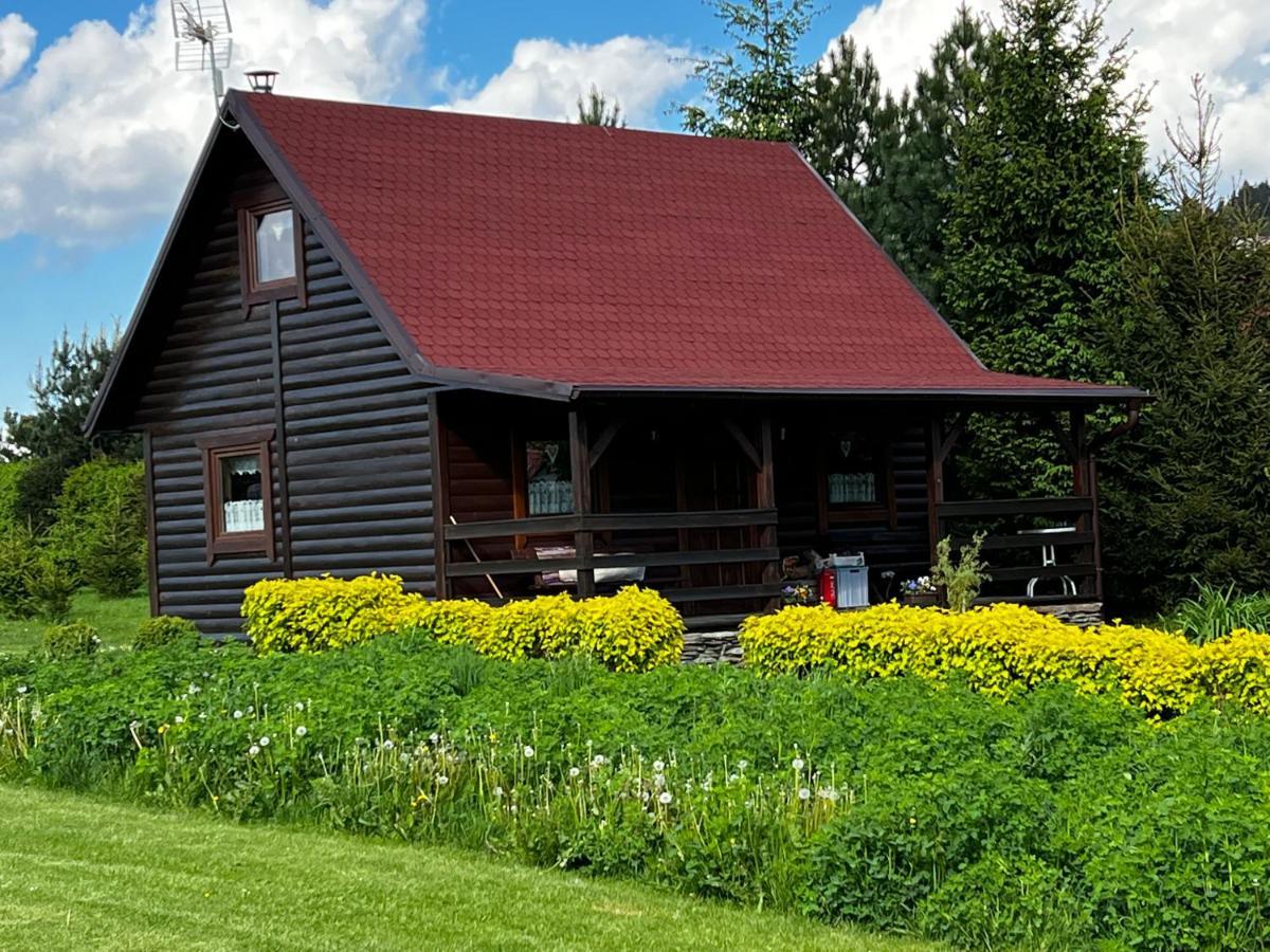 Domek U Karkonosza Villa Kamienna Gora Eksteriør bilde